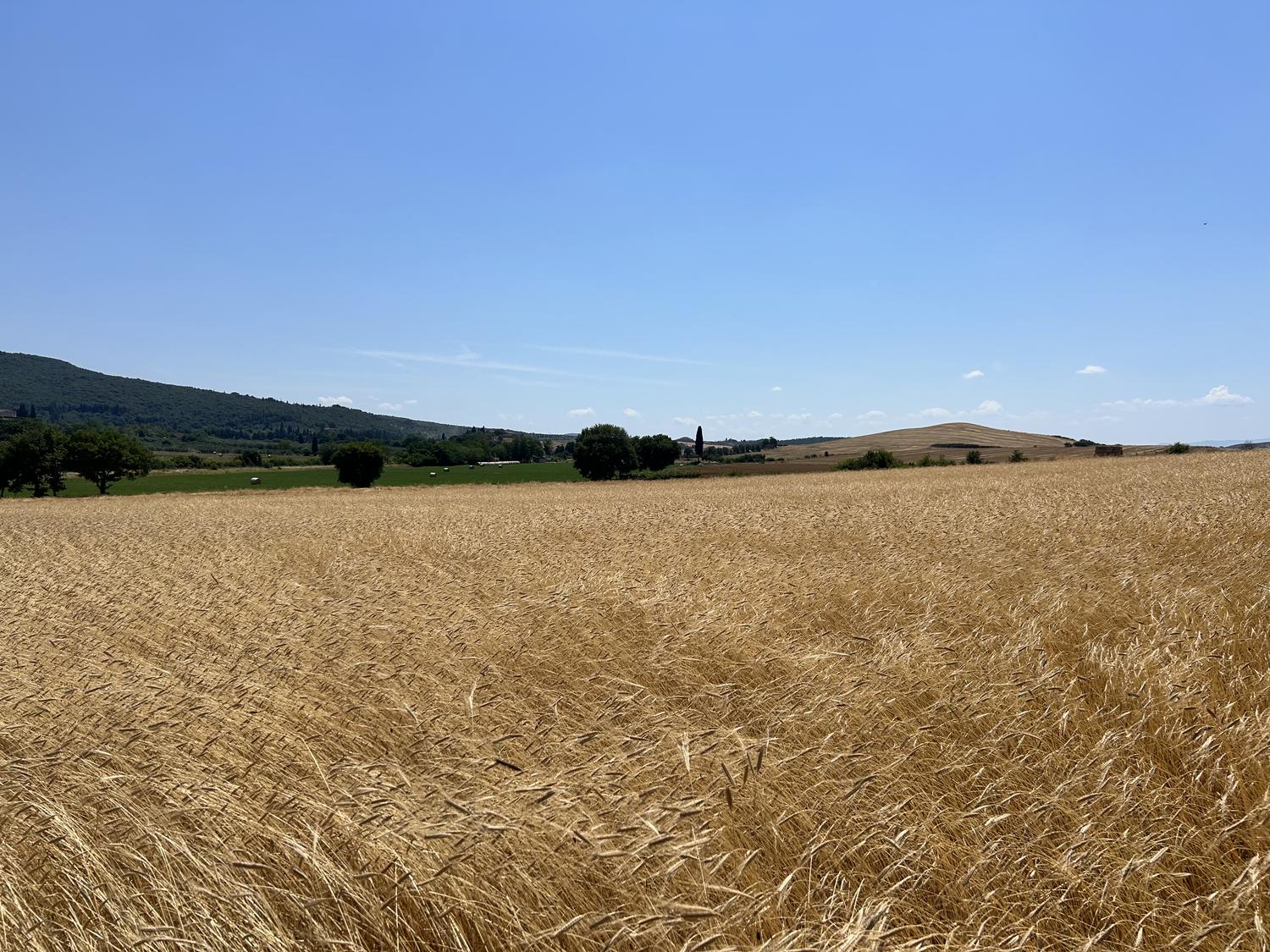 Panorama Toscana